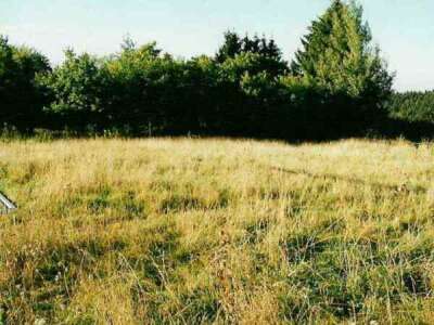1999_1.jpg
