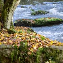 _DSC4489.JPG