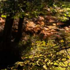 _DSC4643.JPG