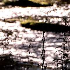 _DSC4658.JPG