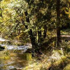 _DSC4675.JPG