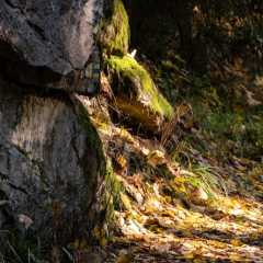 _DSC4676.JPG