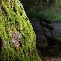 _DSC4690.JPG