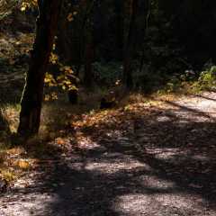 _DSC4699.JPG