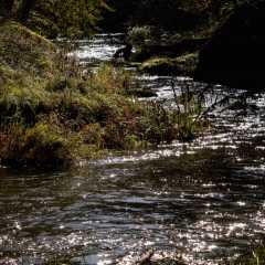 _DSC4804.JPG