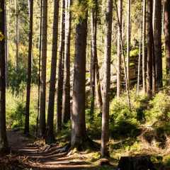 _DSC4830.JPG