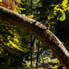 _DSC4839.JPG