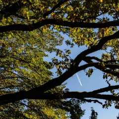 _DSC4840.JPG