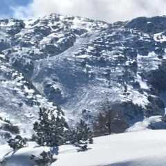 IMG-20200308-WA0014.jpg