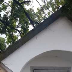 20200726_101820.JPG