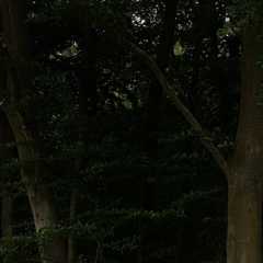 20200726_132824.JPG