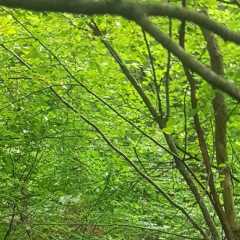 20200726_152740.JPG