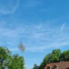 IMG-20230523-WA0003.jpg