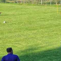 IMG-20230911-WA0014.jpg