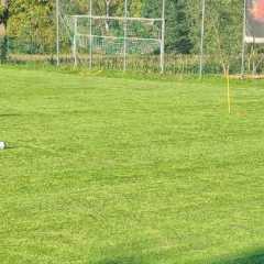 IMG-20230911-WA0015.jpg