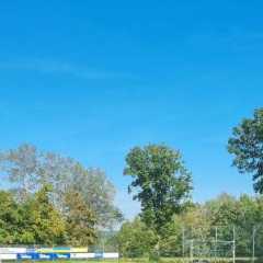 IMG-20230911-WA0022.jpg