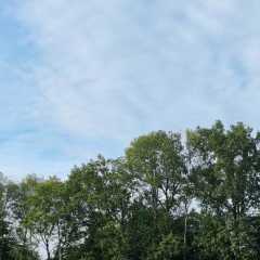 IMG-20230929-WA0008.jpg