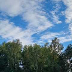 IMG-20230929-WA0016.jpg
