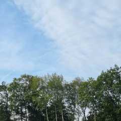 IMG-20230929-WA0028.jpg