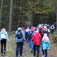 Bild-0011.JPG