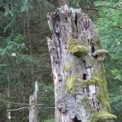 Bild-0012.JPG