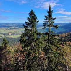 Bild-0023.JPG