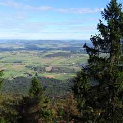 Bild-0024.JPG