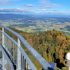Bild-0036.JPG