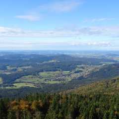 Bild-0043.JPG