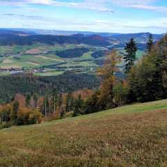Bild-0072.JPG