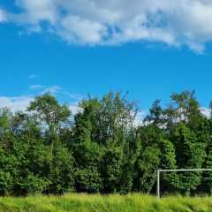 IMG-20240610-WA0041.jpg