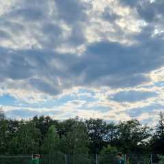 IMG-20240610-WA0050.jpg