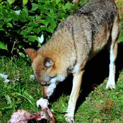 Wanderfahrt 2013 (058).jpg