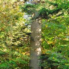 Wanderfahrt 2013 (169).jpg