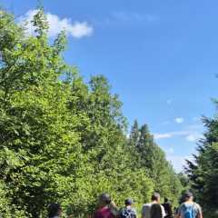 IMG_027553.JPG