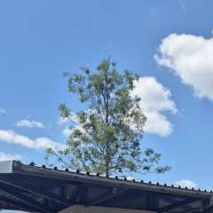 IMG_027599.JPG