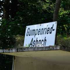 Bauch-10.jpg