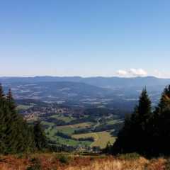 IMG_20150919_103339.jpg