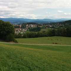 IMG_20150919_132452.jpg