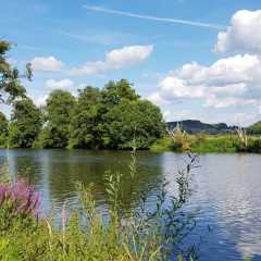 20160813_162932.jpg