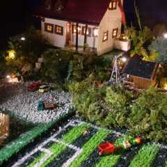 Img03928.jpg