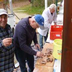 Scaled Image12.jpg