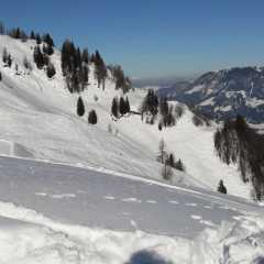 IMG-20180127-WA0005.jpg