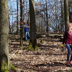 Bild_058.jpg