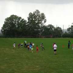 DSC02017.JPG
